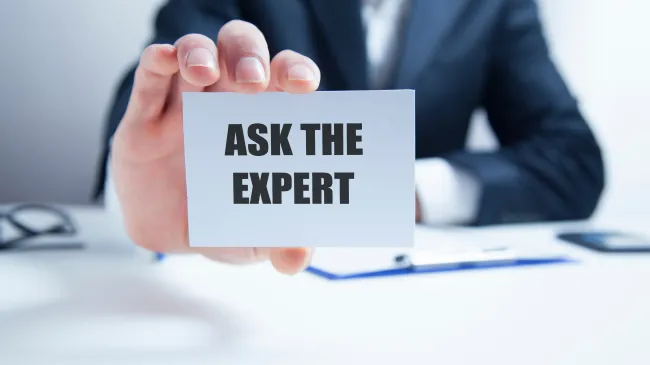 Experts